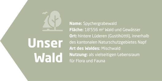 Wald-1